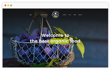 Niche: Organic Food
